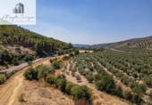 Terreno no urbanizable en venta en la España, Deifontes, ref: TR327747 foto