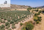 Terreno no urbanizable en venta en la España, Deifontes, ref: TR327747 foto