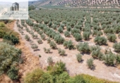 Terreno no urbanizable en venta en la España, Deifontes, ref: TR327747 foto