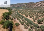 Terreno no urbanizable en venta en la España, Deifontes, ref: TR327747 foto