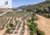 Terreno no urbanizable en venta en la España, Deifontes, ref: TR327747 foto