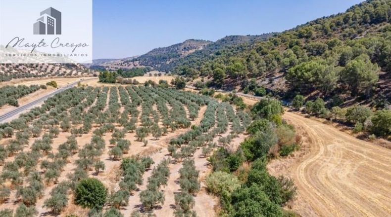 Granada - Deifontes - 5700m2