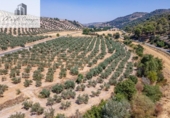 Terreno no urbanizable en venta en la España, Deifontes, ref: TR327747 foto