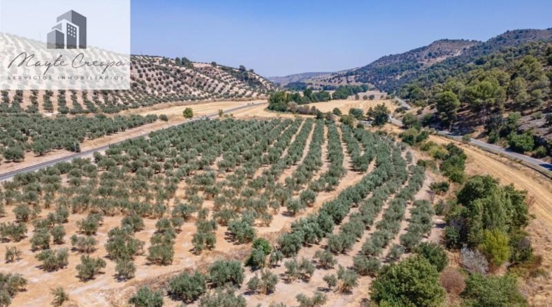 Granada - Deifontes - 5700m2
