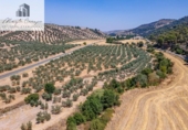 Terreno no urbanizable en venta en la España, Deifontes, ref: TR327747 foto