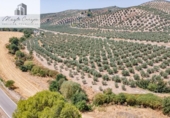 Terreno no urbanizable en venta en la España, Deifontes, ref: TR327747 foto