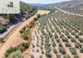 Terreno no urbanizable en venta en la España, Deifontes, ref: TR327747 foto