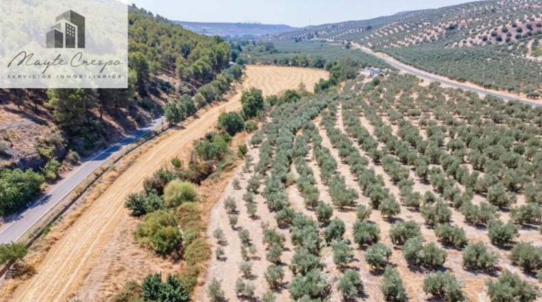 Granada - Deifontes - 5700m2