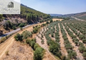 Terreno no urbanizable en venta en la España, Deifontes, ref: TR327747 foto