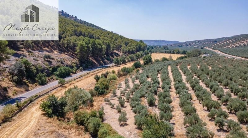 Granada - Deifontes - 5700m2