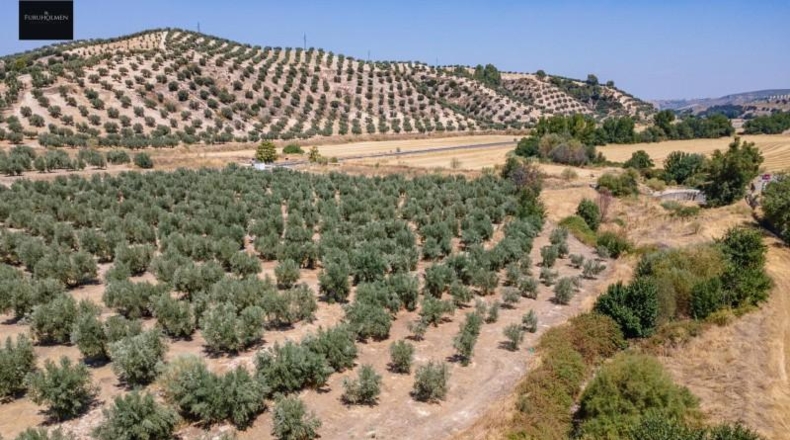Granada - Deifontes - 5700m2
