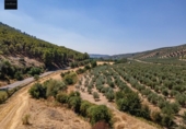 Terreno no urbanizable en venta en la España, Deifontes, ref: TR327861 foto