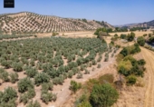 Terreno no urbanizable en venta en la España, Deifontes, ref: TR327861 foto
