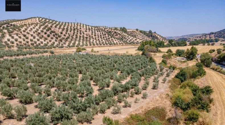 Granada - Deifontes - 5700m2