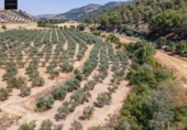 Terreno no urbanizable en venta en la España, Deifontes, ref: TR327861 foto
