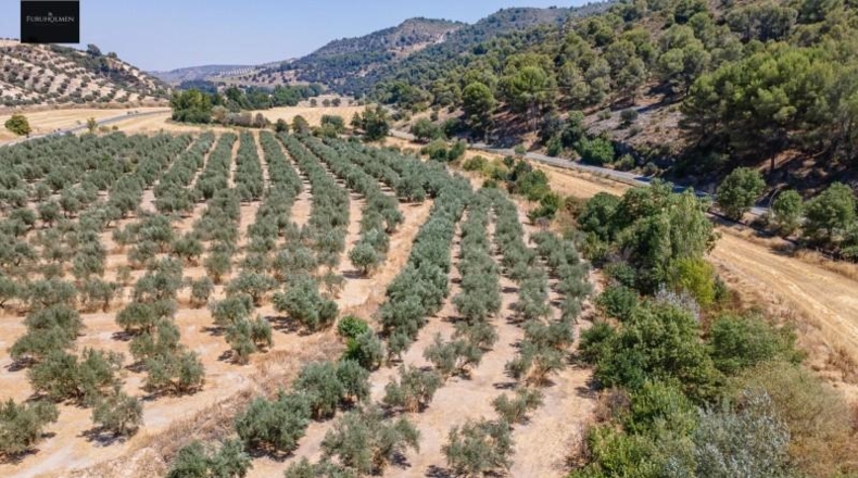 Granada - Deifontes - 5700m2