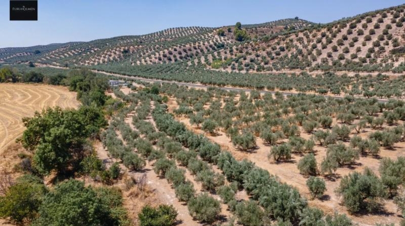 Granada - Deifontes - 5700m2