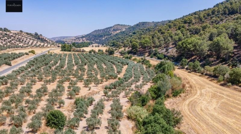 Granada - Deifontes - 5700m2