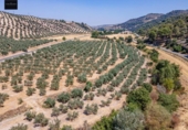 Terreno no urbanizable en venta en la España, Deifontes, ref: TR327861 foto