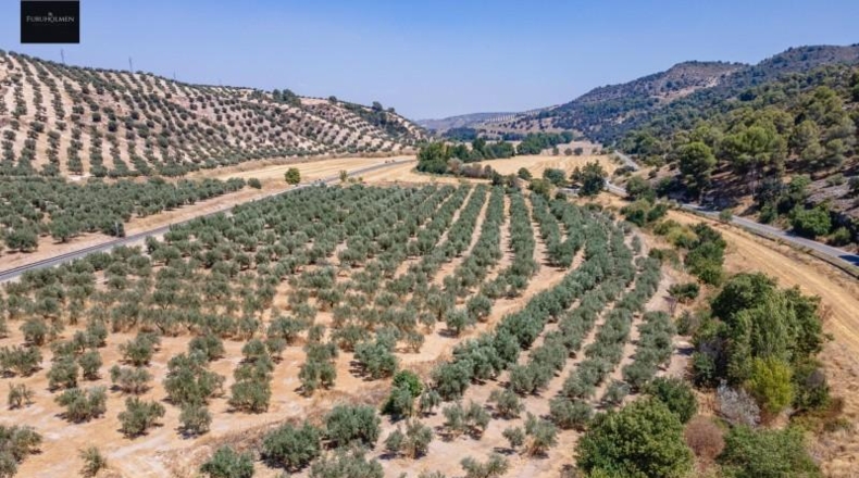 Granada - Deifontes - 5700m2