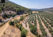 Terreno no urbanizable en venta en la España, Deifontes, ref: TR327861 foto