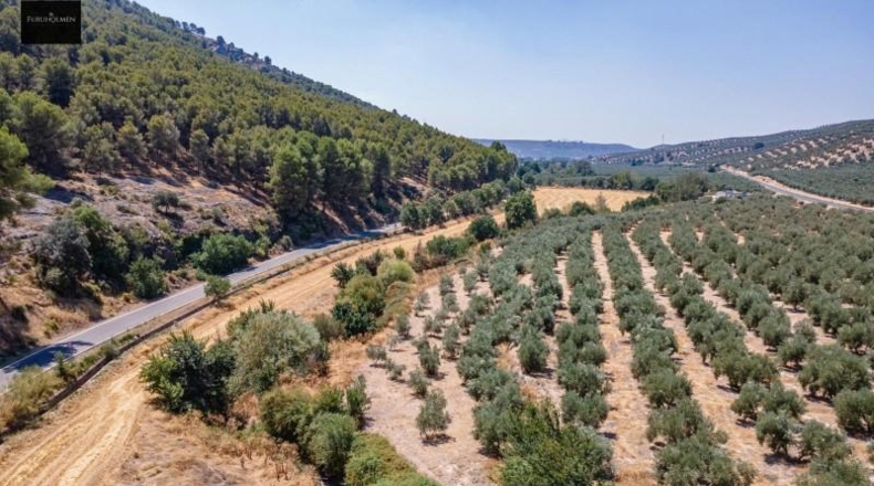 Granada - Deifontes - 5700m2