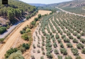 Terreno no urbanizable en venta en la España, Deifontes, ref: TR327861 foto