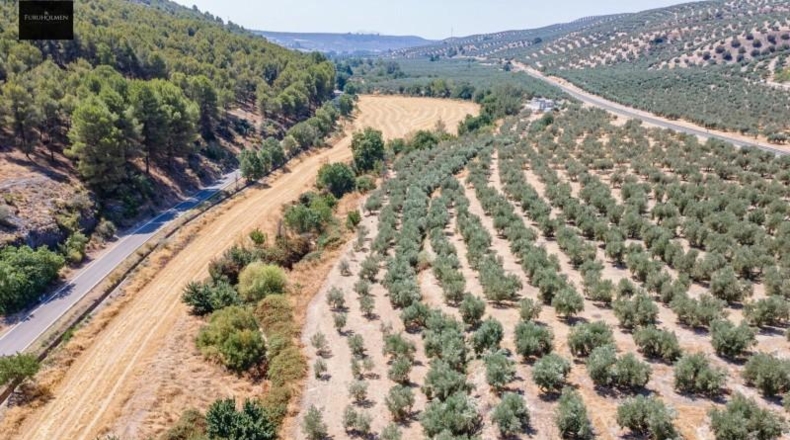Granada - Deifontes - 5700m2