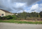 Parcel·la urbanitzable en venda a la España, la Bisbal del Penedès, ref.: TR309049 foto