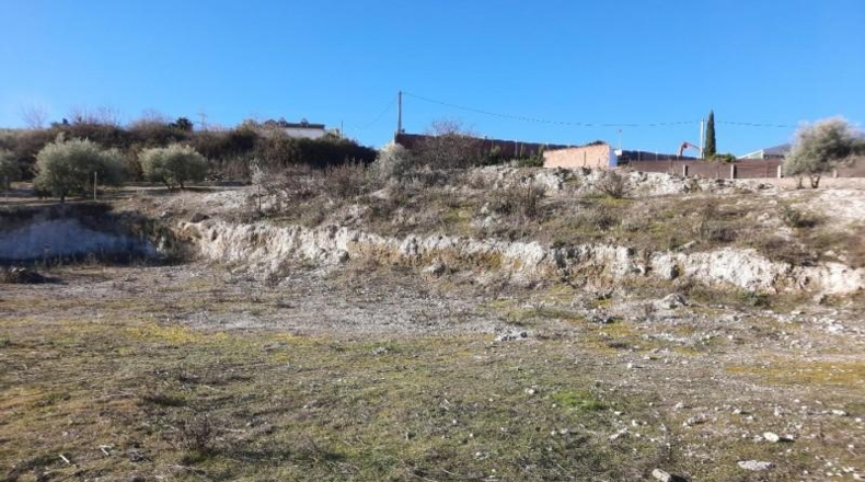 Córdoba - Lucena - 881m2