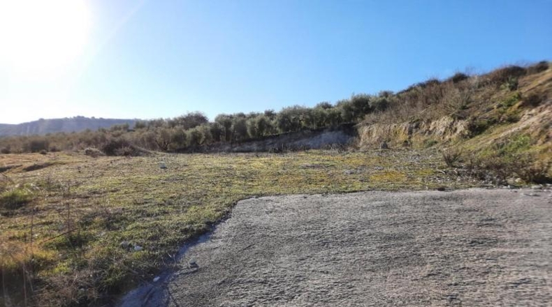 Córdoba - Lucena - 881m2