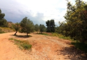 Terreno no urbanizable en venta en la España, Alborache, ref: TR308601 foto