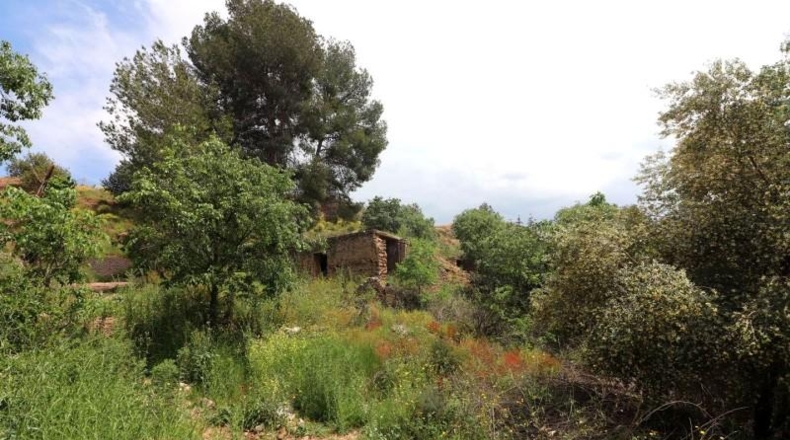 Valencia - Alborache - 16763m2