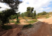 Terreno no urbanizable en venta en la España, Alborache, ref: TR308601 foto