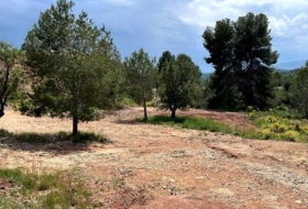 Foto 19