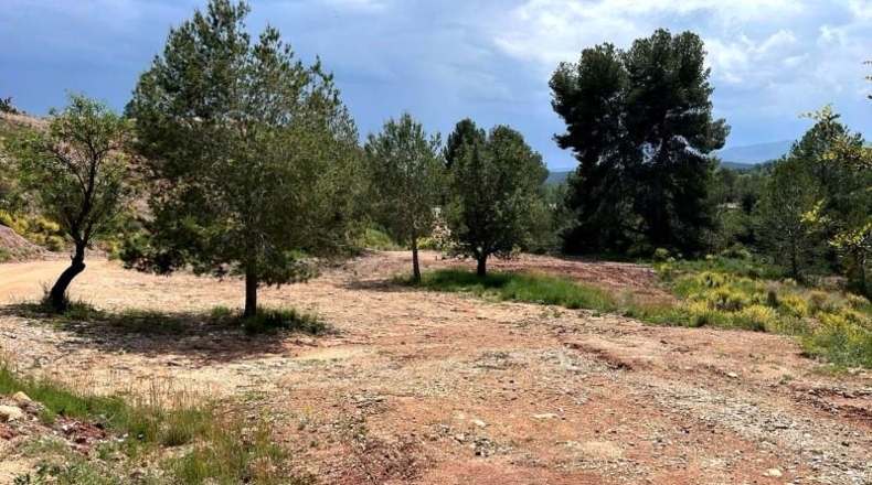 Valencia - Alborache - 16763m2