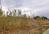 Terreno no urbanizable en venta en la España, Cieza, ref: TR395131 foto
