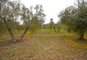 Terreno no urbanizable en venta en la España, Llubí, ref: TR268902 foto