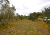 Terreno no urbanizable en venta en la España, Llubí, ref: TR268902 foto