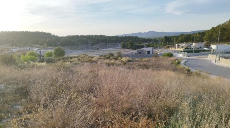 Múrcia - Calasparra - 630m2