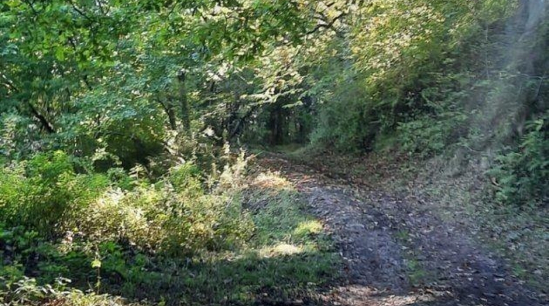 Cantabria - La Puente - 200m2