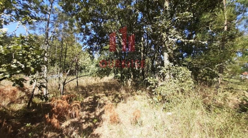 Orense - Barbadás - 900m2