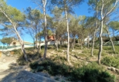 Parcela urbanizable en venta en la España, Canyelles, ref: TR126492 foto