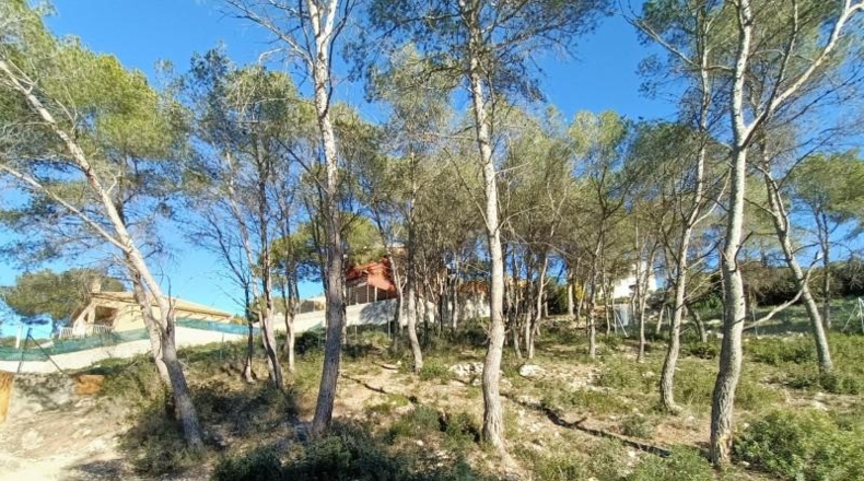 Barcelona - Canyelles - 426m2