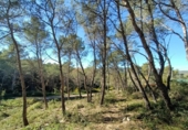 Parcela urbanizable en venta en la España, Canyelles, ref: TR126492 foto
