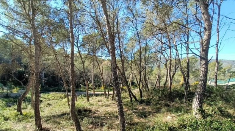 Barcelona - Canyelles - 426m2