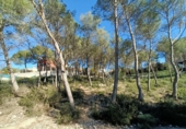 Parcela urbanizable en venta en la España, Canyelles, ref: TR126492 foto