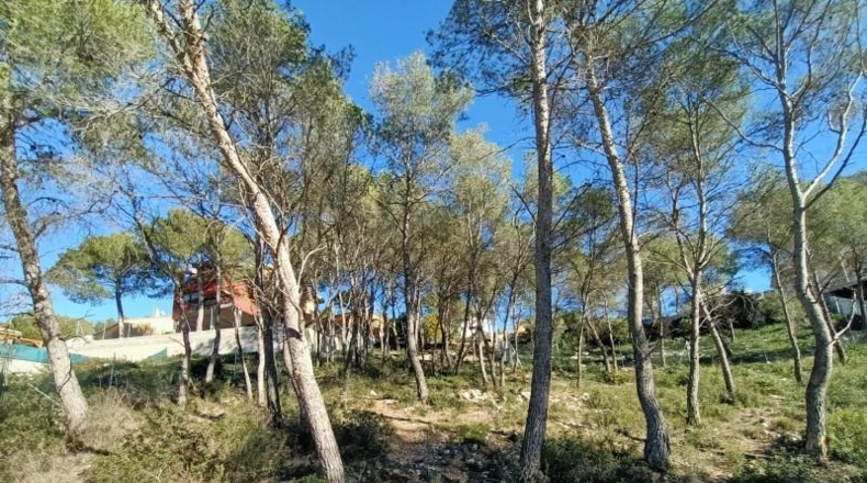 Barcelona - Canyelles - 426m2