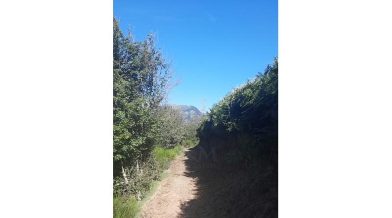 Lerida - Canejan - 7815m2