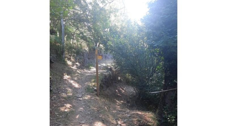 Lerida - Canejan - 7815m2